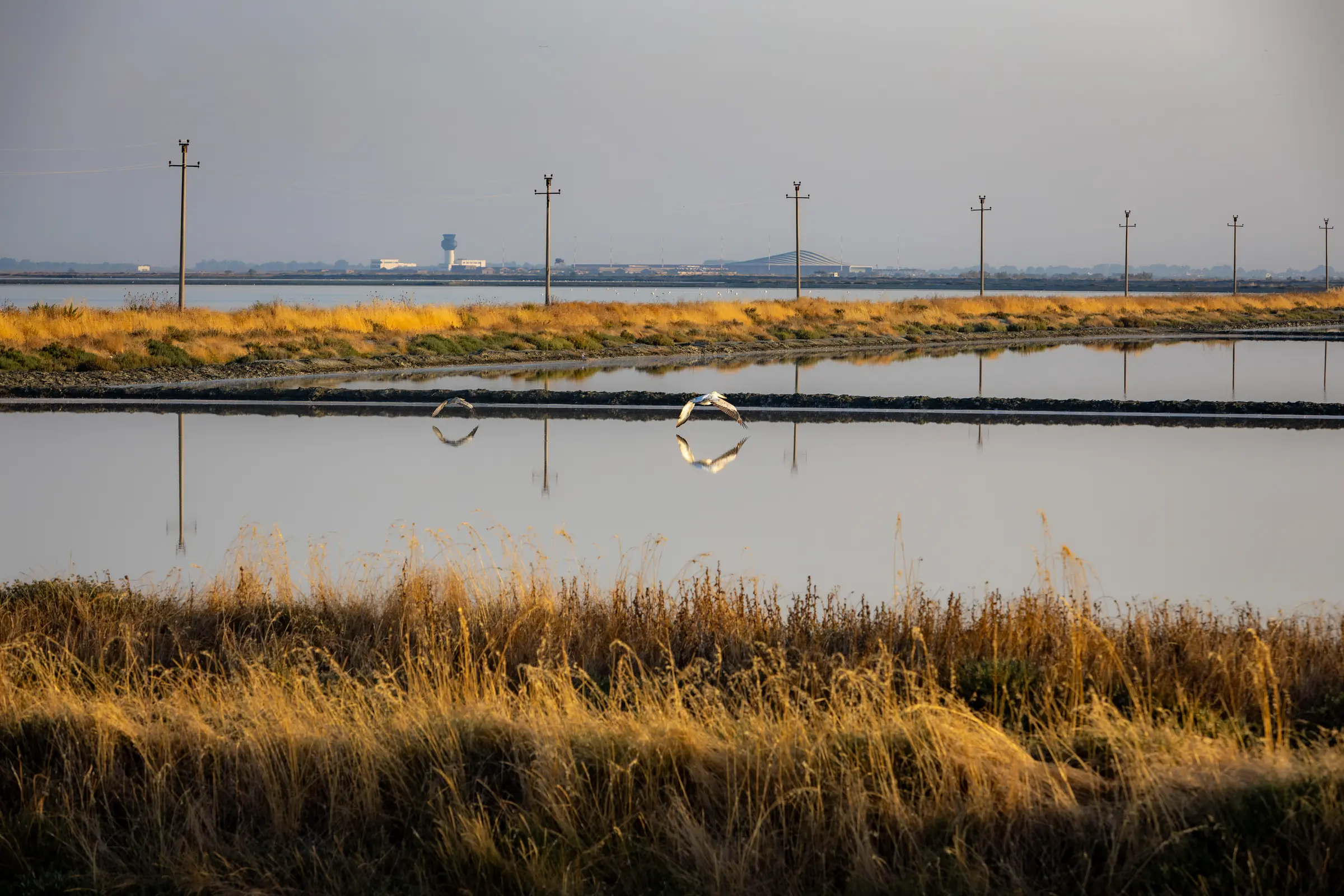 Zwei Pelikane fliegen niedrig über den geometrischen Becken der Saline